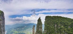 梦幻西游3D